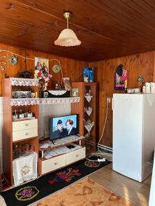 a room with wooden walls and a tv on a shelf at Etno kuća Močioci in Ivanjica