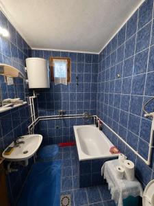 a blue tiled bathroom with a tub and a sink at Etno kuća Močioci in Ivanjica +24 photos
