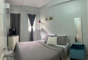 a bedroom with a bed and a tv and a window at Hibiscus Apt 1 in Corinthe