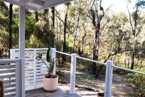 a porch with a potted plant on a white fence at ROSINA Beach Shack in Bellbrae