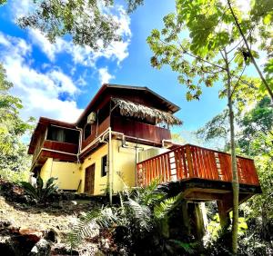 a house in the middle of a forest at Kliffstone Jungle House in Sayab Camp