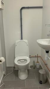 a bathroom with a toilet and a sink at Ilulissat City Apartments- Apartment 2 in Ilulissat +3 photos