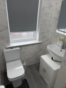 a bathroom with a white toilet and a sink at GS Maisons Hideaway in Sheffield