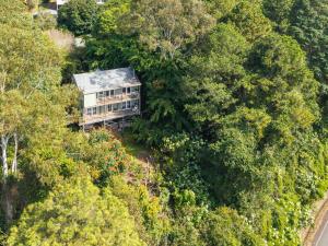 an aerial view of a house in the middle of a forest at Misty Valley Cottage in Mapleton