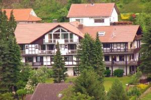 une grande maison au sommet d'une colline avec des arbres dans l'établissement Hotel Tannenhof, à Bad Wünnenberg