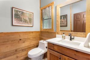 a bathroom with a toilet and a sink and a mirror at Quiet mornings and golden hour views welcome to our woodland sanctuary Deer Watch Retreat in Ellijay +29 photos