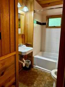 a bathroom with a sink and a tub and a toilet at E-HOT SPRINGS MYSTIQUE - Historic Five Points Lake Hamilton in Hot Springs +34 photos