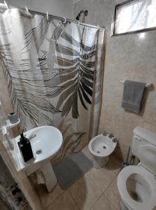 a bathroom with a toilet sink and a shower curtain at La Quebrada del Molle in San Marcos Sierras +28 photos