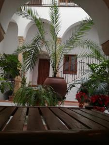 pokój z drewnianym stołem z roślinami w obiekcie Casa Maika w mieście Montoro