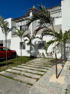 a palm tree in front of a white building at Casa del Conejo in Puerto Morelos