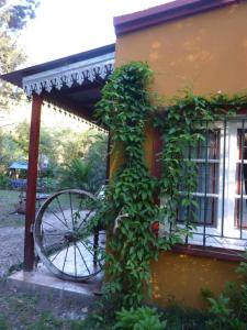 a ivy growing on the side of a house with a bike at Casa de campo Miramar Norte in Miramar +16 photos