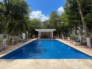 a swimming pool with a gazebo next to trees at Casa del Conejo in Puerto Morelos