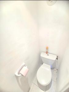 a white bathroom with a toilet and a roll of toilet paper at Studio Luna Rose in Merville +14 photos