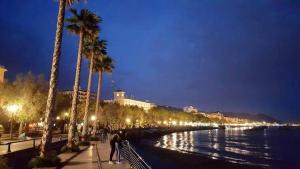 Blick auf einen Fluss in der Nacht mit Palmen in der Unterkunft In Via Roma in Salerno