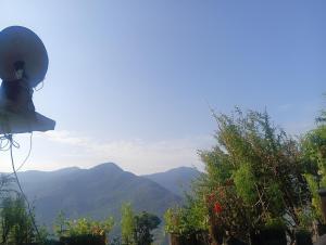 a view of the mountains from a garden with plants at Anik home stay in Sari