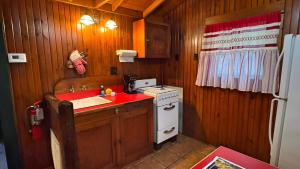 a small kitchen with a sink and a stove at 4-OH, DEER! - Historic Five Points Lake Hamilton in Hot Springs +20 photos