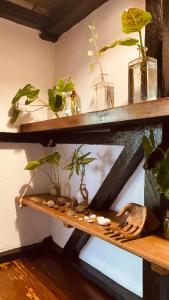 a wooden shelf with some plants on it at La Caleta House in Mompiche