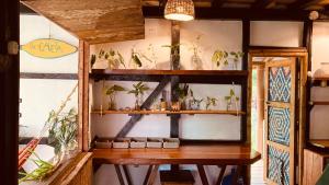 a room with a wooden table with plants on shelves at La Caleta House in Mompiche