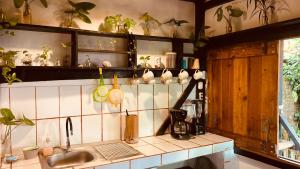 a kitchen with a sink and some plants on the shelves at La Caleta House in Mompiche +19 photos
