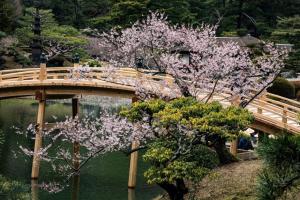 a bridge over a pond with a tree with purple flowers at アロハベース in Takamatsu