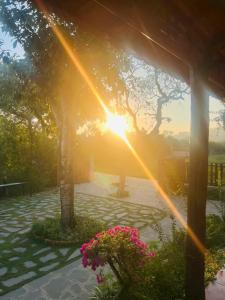 a sun shining through the trees in a garden at Cat Tien Riverside Lodge in Tân Phú +9 photos