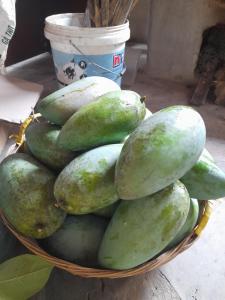 a basket filled with lots of green fruit at Cat Tien Riverside Lodge in Tân Phú