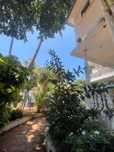 a view from the porch of a house with plants at Hotel White Sand Bache Stay in Aguada