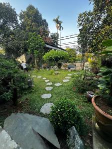 a garden with stepping stones in the grass at Homestay-pickleball in Ðồng Vo
