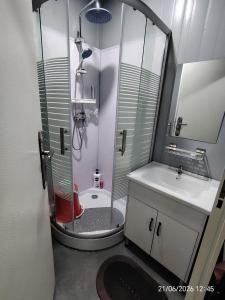 a bathroom with a shower and a sink and a toilet at DMaro Cabin in Kampong Kundassan