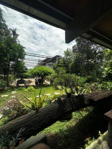 a fallen tree laying on the grass in a garden at HomeStay Pickle ball in Ðồng Vo +4 photos