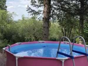 a pink and blue pool with trees in the background at Baglyos Vendégház Kulcs in Kulcs