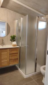 a bathroom with a shower and a toilet and a sink at פינה בנחלה in Ma'ale Gamla +14 photos