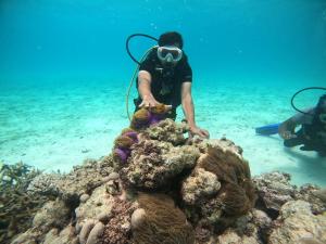 a man in the ocean looking at a coral reef at La Paraso Agatti in Agatti