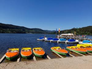 a group of boats parked at a dock on a lake at Kopffrei auf 1000 m Wohnung 2 in Feldberg