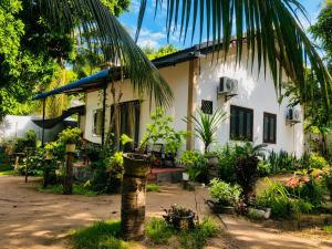a house with a palm tree in front of it at Trio Mango Stay in Arugam Bay