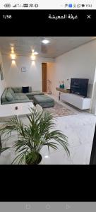 a living room with two beds and a potted plant at إقامة مريحة وممتعة في شارع الاميرات in Baghdād