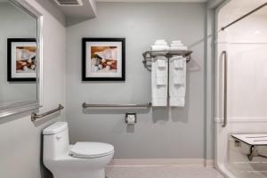 a bathroom with a toilet and a shower at Amsterdam Inn & Suites, an Ascend Collection Hotel in Fredericton +35 photos