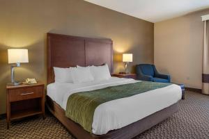 a hotel room with a large bed and a blue chair at Comfort Inn Charlotte in Charlotte +25 photos