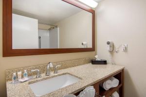 a bathroom with a sink and a mirror at Comfort Inn Chester - Richmond South in Chester +25 photos