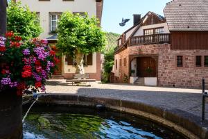 a house with a pond in a courtyard with flowers at Chez Romane in Riquewihr