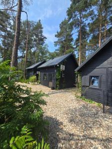 a house in the woods with a gravel driveway at Daglezji 170 in Dziwnów