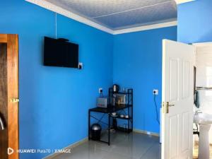 a blue room with a tv on a blue wall at Zamdu Lodge in Nkandla
