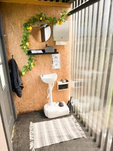 a bathroom with a sink and a mirror at Glempings MIGLA in Dalbe