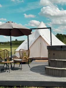 a tent with chairs and a table and an umbrella at Glempings MIGLA in Dalbe