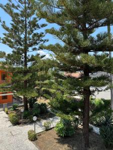 two pine trees in a garden in front of a building at Casa Le Araucarie in Mascali