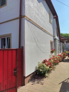 a white building with a red door and some flowers at Green Thuja House in Făgăraş
