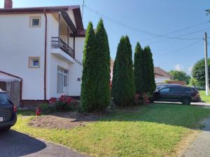 a group of trees in front of a house at Green Thuja House in Făgăraş