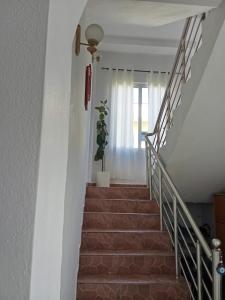 a stairway with a potted plant and a stair case at Rooms New DiamonD in Durrës