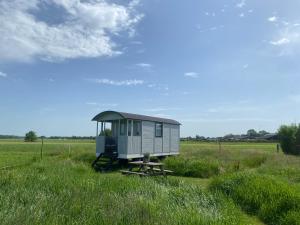 a small house in the middle of a field at Pipowagen op Camperplaats Vechtdal in Nieuwleusen
