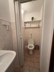 a small bathroom with a toilet and a sink at Ubytování v Jedničce in Hrubá Skála +11 photos
